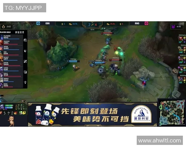 深入分析EDG与RNG比赛的关键策略与经验教训分享